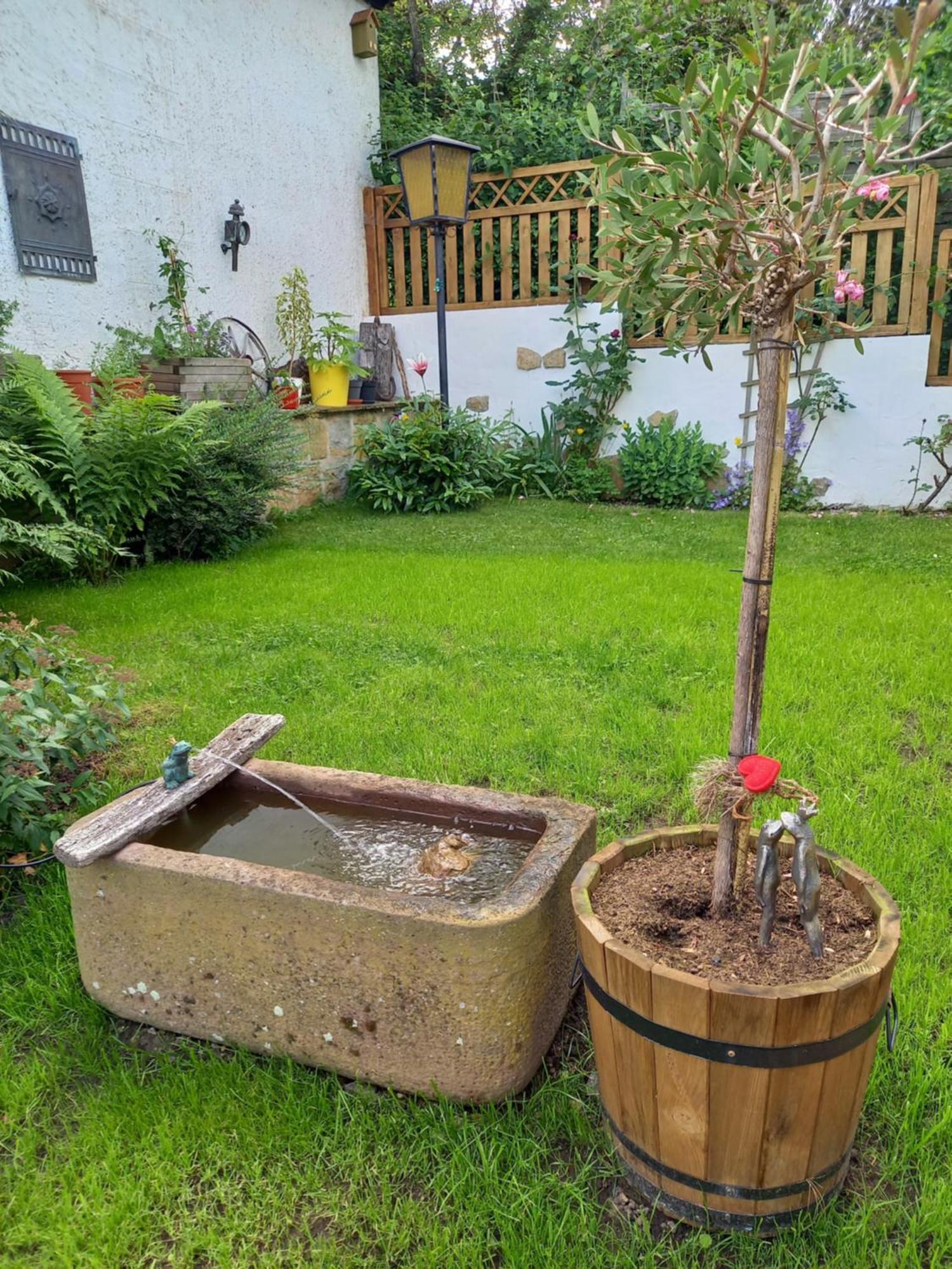 Elfenhaeuschen Mit 3 Dtv Sternen Ausgezeichnet Villa Бад Харцбург Екстериор снимка