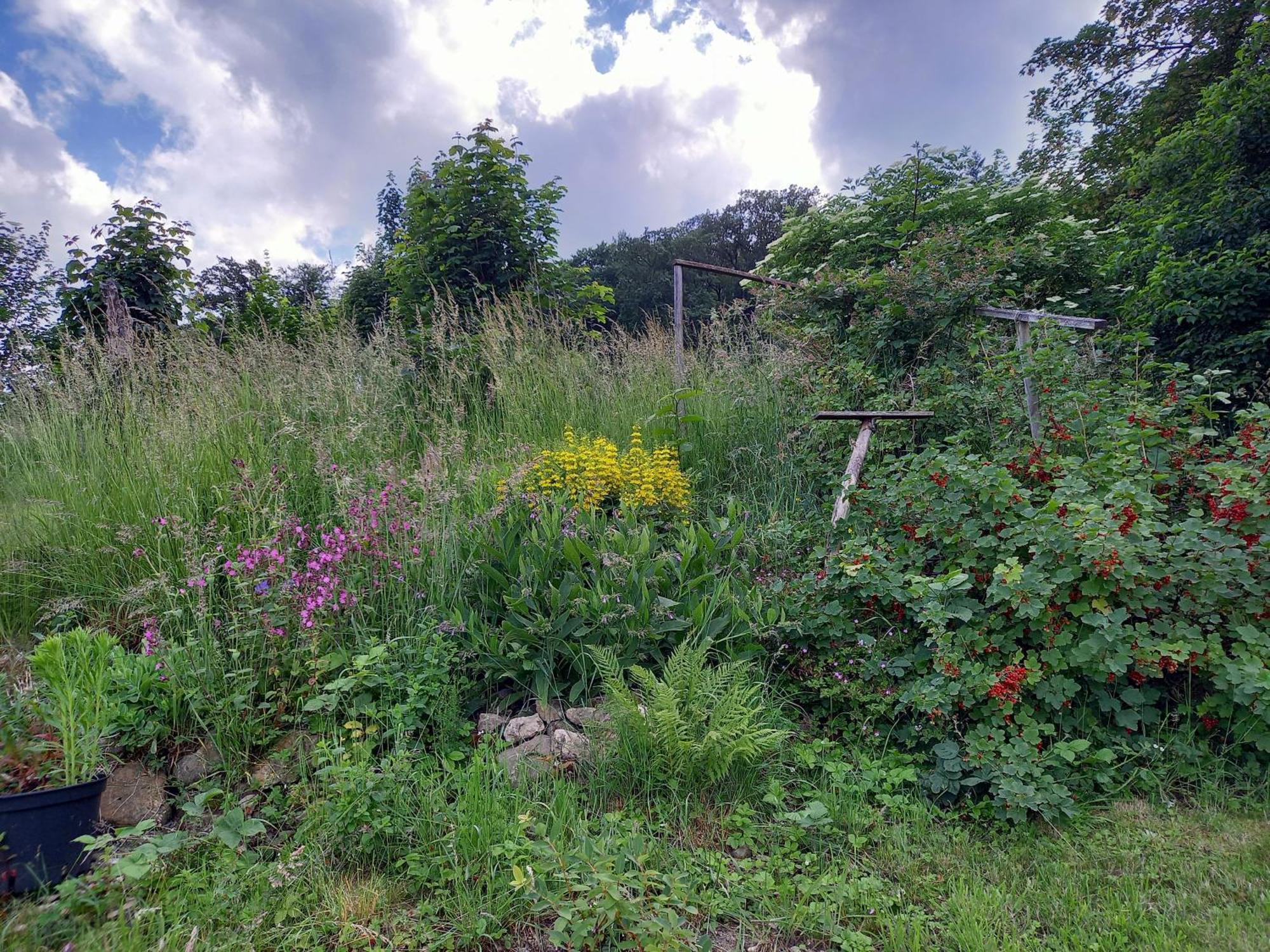 Elfenhaeuschen Mit 3 Dtv Sternen Ausgezeichnet Villa Бад Харцбург Екстериор снимка