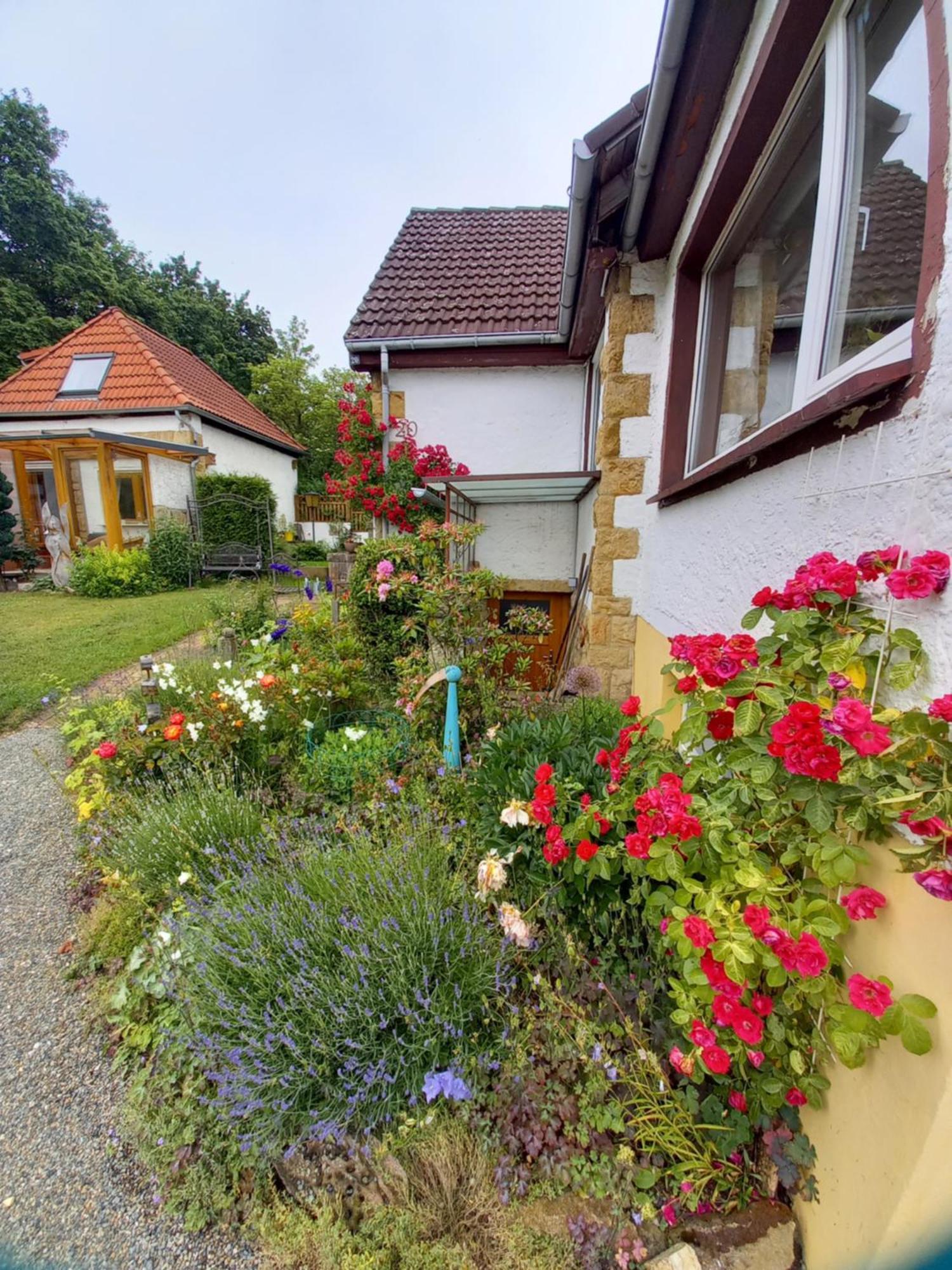 Elfenhaeuschen Mit 3 Dtv Sternen Ausgezeichnet Villa Бад Харцбург Екстериор снимка