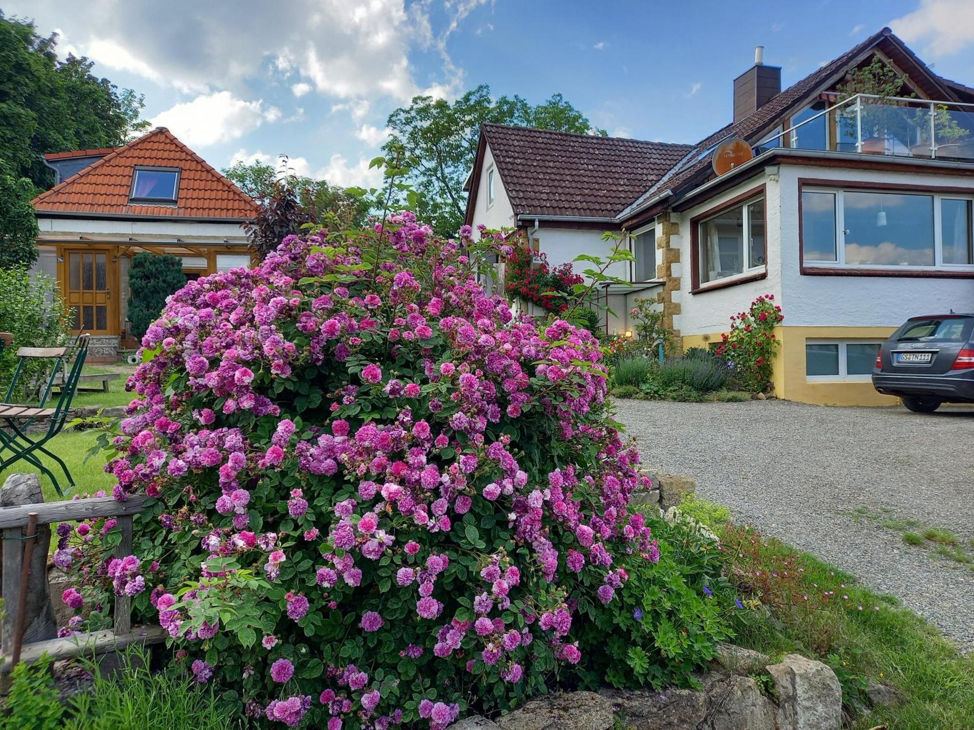 Elfenhaeuschen Mit 3 Dtv Sternen Ausgezeichnet Villa Бад Харцбург Екстериор снимка